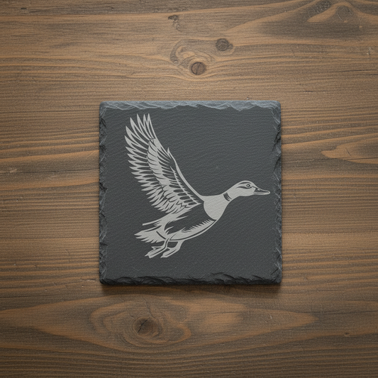 Flying duck coaster straight on view